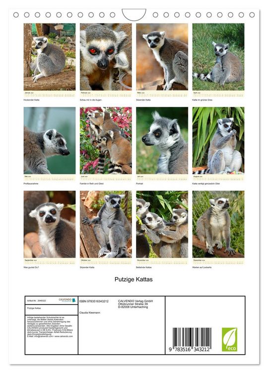 Produktbild: Putzige Kattas (Wandkalender 2026 DIN A4 hoch), CALVENDO Monatskalender