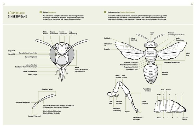 Produktbild: WILDBIENENHELFER