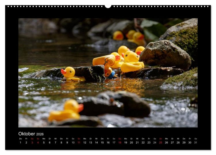 Produktbild: Enten-Rennen (hochwertiger Premium Wandkalender 2026 DIN A2 quer), Kunstdruck in Hochglanz