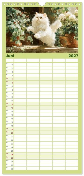 Produktbild: Familienplaner 2027 - Perserkatzen. Flauschige Momente in kunstvoller &Ouml;loptik mit 5 Spalten (Wandkalender, 21 x 45 cm) CALVENDO