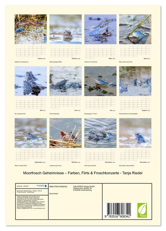 Produktbild: Moorfrosch Geheimnisse &ndash; Farben, Flirts & Froschkonzerte - Tanja Riedel (Wandkalender 2026 DIN A4 hoch), CALVENDO Monatskalender