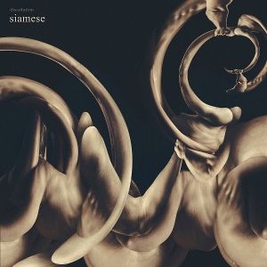 Produktbild: dissolution