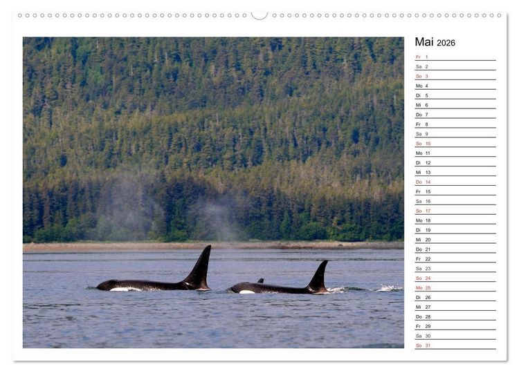 Produktbild: Alaskas Tierwelt - Paradies im Norden (Wandkalender 2026 DIN A2 quer), CALVENDO Monatskalender