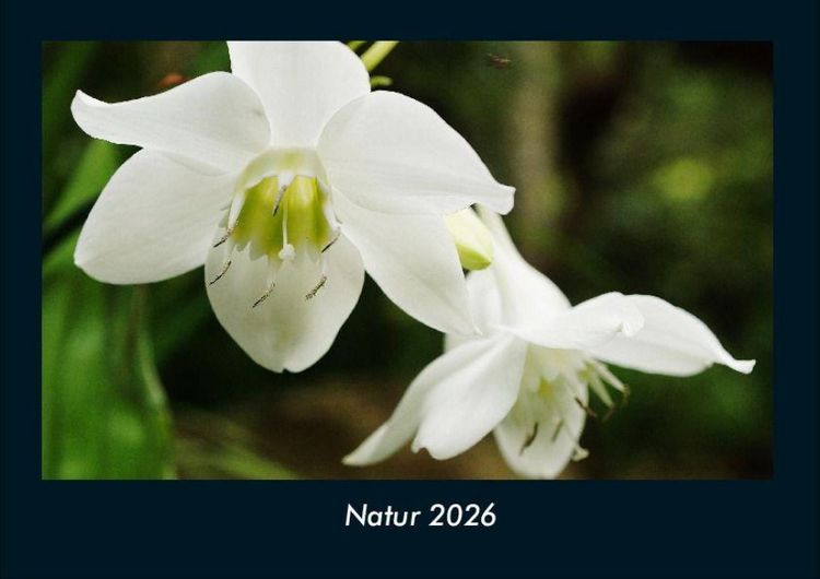Produktbild: Natur 2026 Fotokalender DIN A4