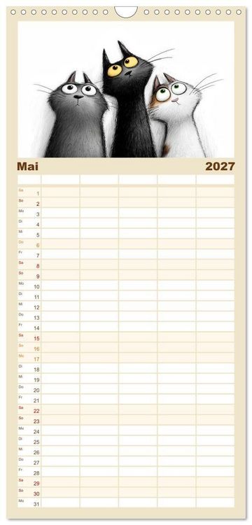 Produktbild: Familienplaner 2027 - Gute Laune Katzen mit 5 Spalten (Wandkalender, 21 x 45 cm) CALVENDO