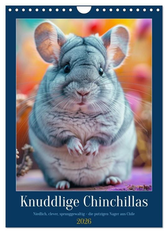 Produktbild: Knuddlige Chinchillas (Wandkalender 2026 DIN A4 hoch), CALVENDO Monatskalender