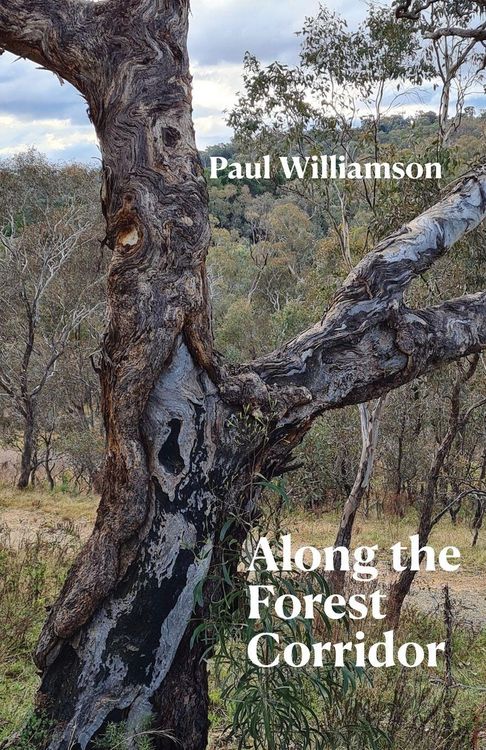 Produktbild: Along the Forest Corridor