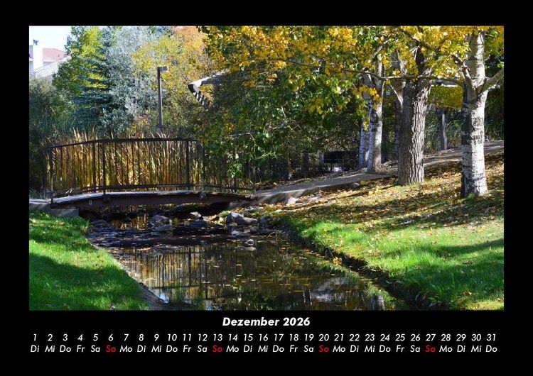 Produktbild: B&auml;ume 2026 Fotokalender DIN A3