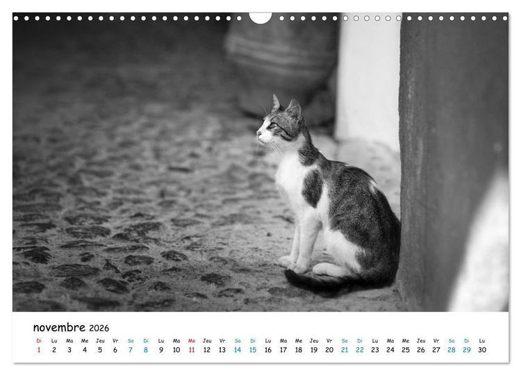 Produktbild: Chats de Santorin - Les princes d'Oia en noir et blanc (Calendrier mural 2026 DIN A3 vertical), CALVENDO calendrier mensuel