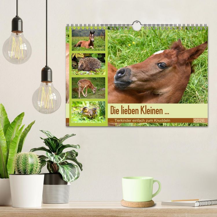 Produktbild: Die lieben Kleinen ... Tierkinder einfach zum Knuddeln (Wandkalender 2026 DIN A4 quer), CALVENDO Monatskalender