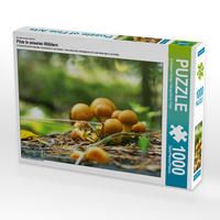 Produktbild: CALVENDO Puzzle Pilze in unseren W&auml;ldern 1000 Teile Lege-Gr&ouml;&szlig;e 64 x 48 cm Foto-Puzzle Bild von Avianaarts Design Fotografie by Tanja Riedel