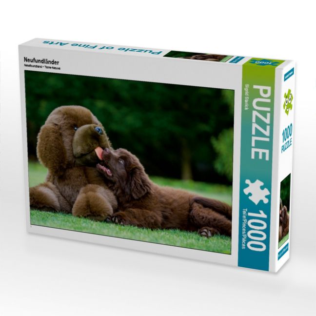 Produktbild: CALVENDO Puzzle Neufundl&auml;nder | 1000 Teile Lege-Gr&ouml;&szlig;e 64x48cm Foto-Puzzle f&uuml;r gl&uuml;ckliche Stunden