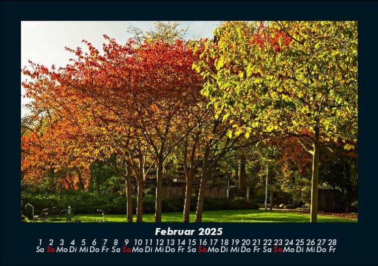 Produktbild: B&auml;ume 2025 Fotokalender DIN A5