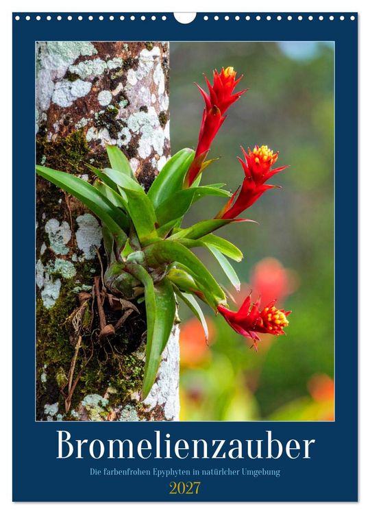 Produktbild: Bromelienzauber (Wandkalender 2027 DIN A3 hoch), CALVENDO Monatskalender