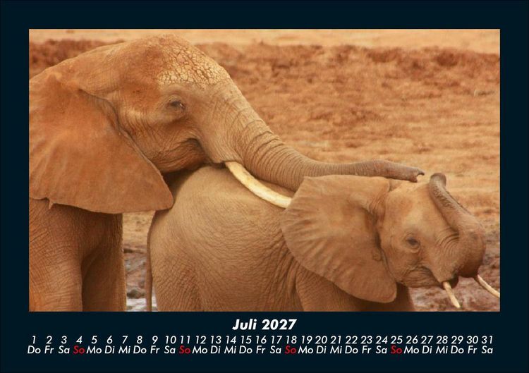 Produktbild: Tierkalender 2027 Fotokalender DIN A5