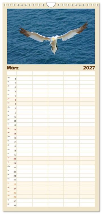 Produktbild: Familienplaner 2027 - An der Nordsee mit 5 Spalten (Wandkalender, 21 x 45 cm) CALVENDO