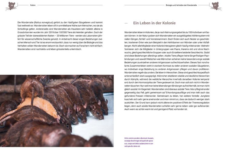 Produktbild: Ratten