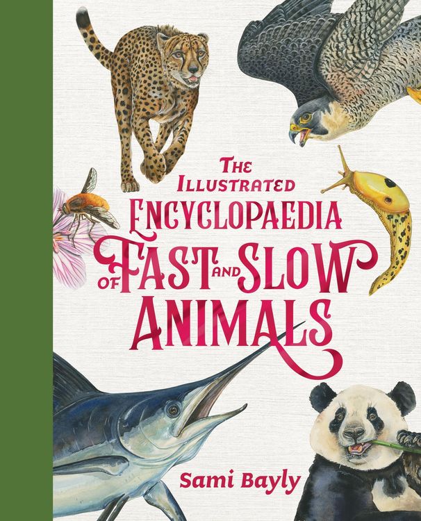 Produktbild: The Illustrated Encyclopaedia of Fast and Slow Animals