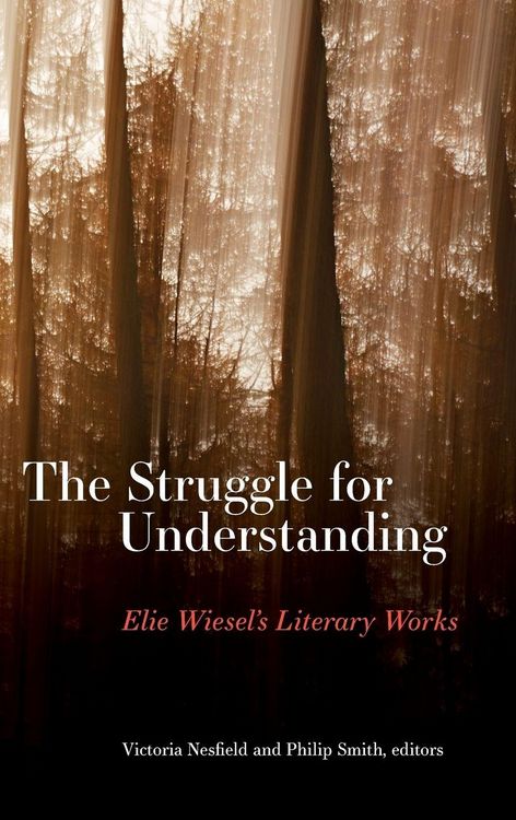 Produktbild: The Struggle for Understanding