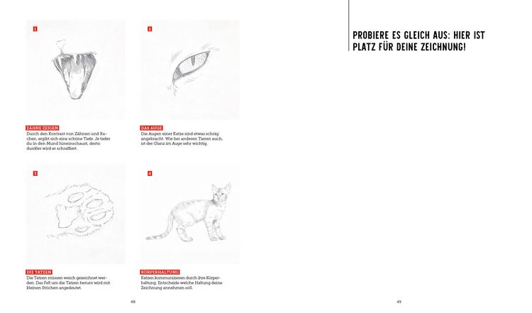 Produktbild: Genial zeichnen &ndash; Tiere