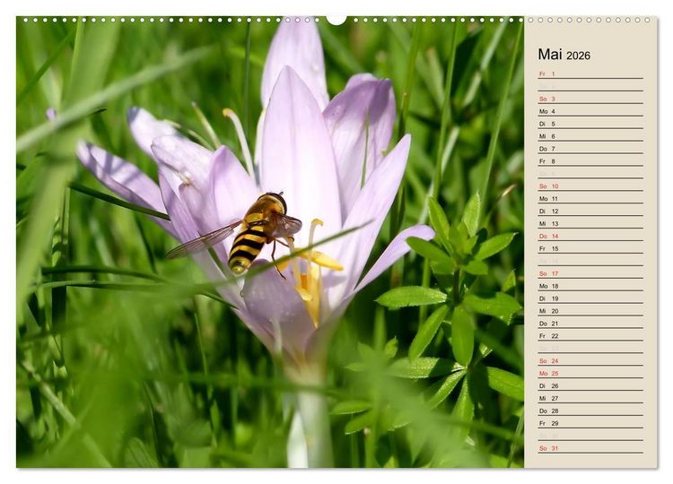 Produktbild: Bad Orb - Romantik im Spessart (hochwertiger Premium Wandkalender 2026 DIN A2 quer), Kunstdruck in Hochglanz