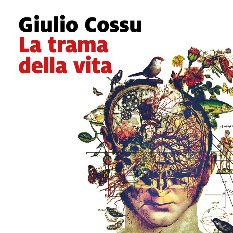 Produktbild: La trama della vita