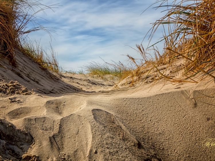 Produktbild: CALVENDO Puzzle Nordsee-D&uuml;nen | 1000 Teile Lege-Gr&ouml;&szlig;e 64x48cm Foto-Puzzle f&uuml;r gl&uuml;ckliche Stunden