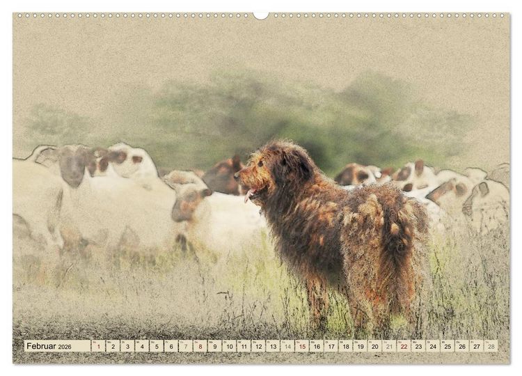 Produktbild: Altdeutsche H&uuml;tehunde 2026 (hochwertiger Premium Wandkalender 2026 DIN A2 quer), Kunstdruck in Hochglanz