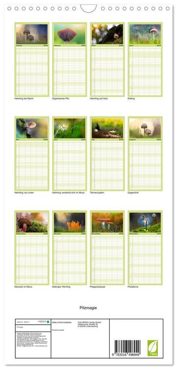 Produktbild: Familienplaner 2026 - Pilzmagie mit 5 Spalten (Wandkalender, 21 x 45 cm) CALVENDO