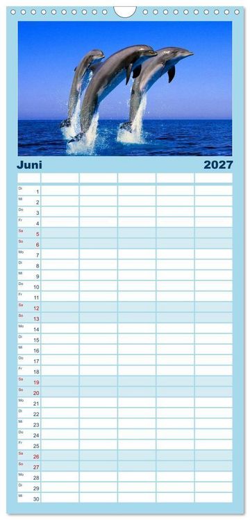 Produktbild: Familienplaner 2027 - Delfine und Wale mit 5 Spalten (Wandkalender, 21 x 45 cm) CALVENDO