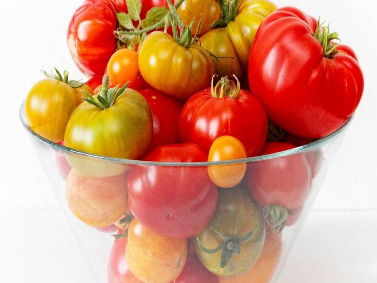 Produktbild: CALVENDO Puzzle Leckere Bio Tomaten | 1000 Teile Lege-Gr&ouml;&szlig;e 64x48cm Foto-Puzzle f&uuml;r gl&uuml;ckliche Stunden