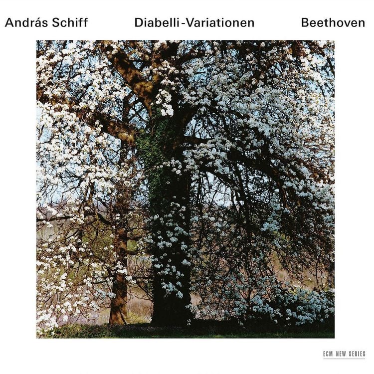 Produktbild: Diabelli-Variationen
