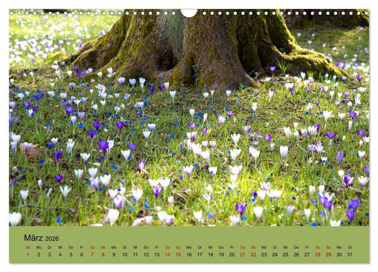 Produktbild: Kurpark Baden-Baden (Wandkalender 2026 DIN A3 quer), CALVENDO Monatskalender