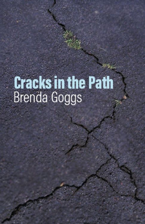 Produktbild: Cracks in the Path