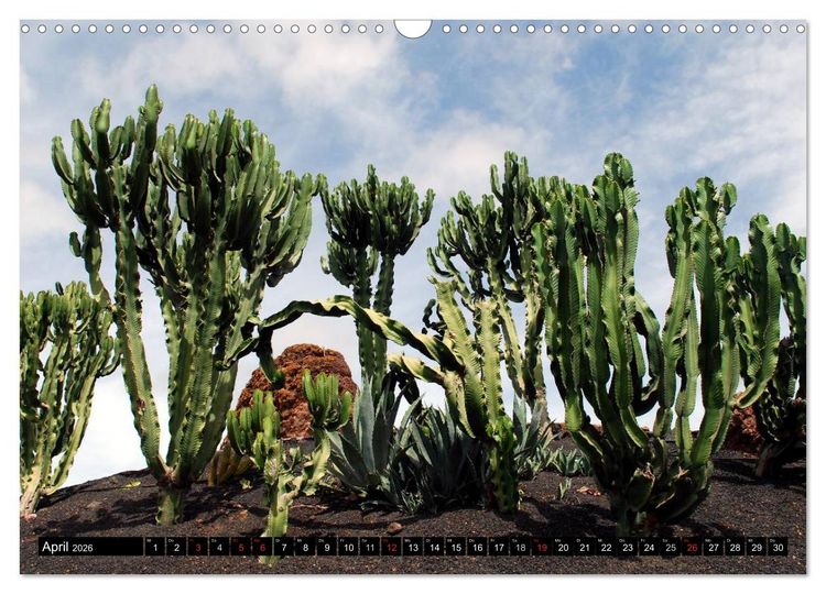 Produktbild: Lanzarote - Kanarische Inseln (Wandkalender 2026 DIN A3 quer), CALVENDO Monatskalender