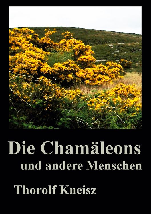 Produktbild: Die Cham&auml;leons und andere Menschen