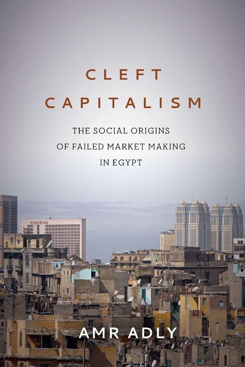 Produktbild: Cleft Capitalism