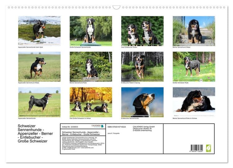 Produktbild: Schweizer Sennenhunde - Appenzeller - Berner - Entlebucher - Gro&szlig;e Schweizer (Wandkalender 2026 DIN A2 quer), CALVENDO Monatskalender