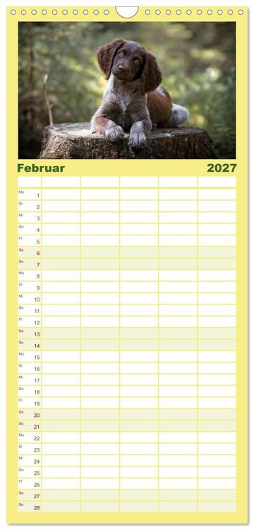 Produktbild: Familienplaner 2027 - Passion Jagdhund - Deutsch Langhaar mit 5 Spalten (Wandkalender, 21 x 45 cm) CALVENDO