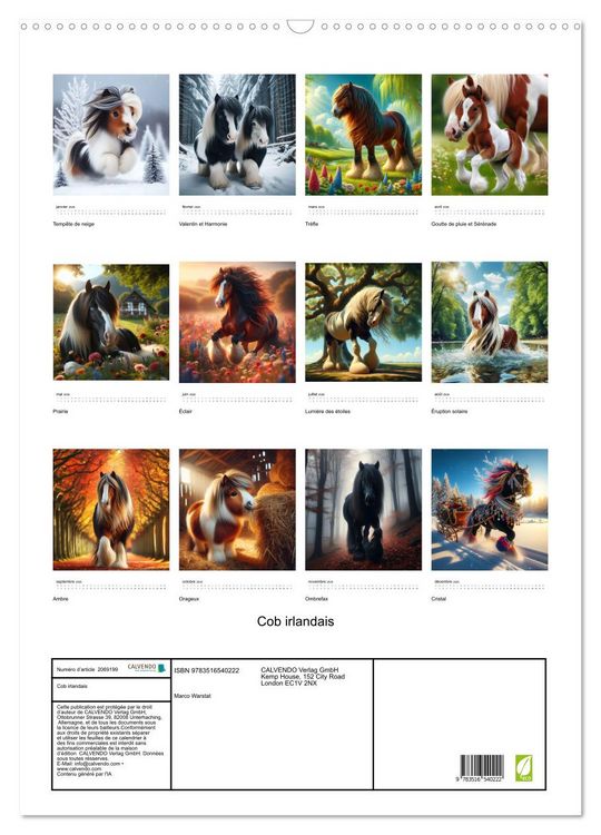 Produktbild: Cob irlandais (Calendrier mural 2026 DIN A2 horizontal), CALVENDO calendrier mensuel
