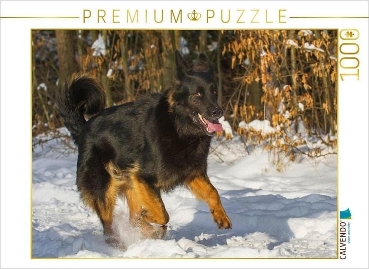 Produktbild: CALVENDO Puzzle Gelbbacke im Winter | 1000 Teile Lege-Gr&ouml;&szlig;e 64x48cm Foto-Puzzle f&uuml;r gl&uuml;ckliche Stunden