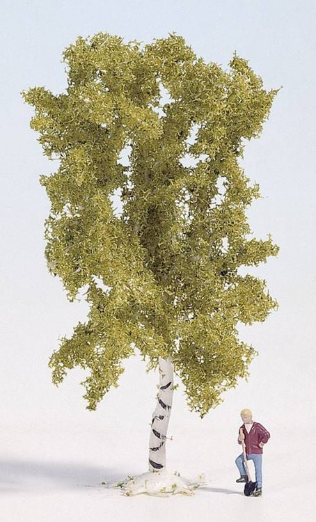 Produktbild: NOCH 28520 Baum Birke 60mm 1St.