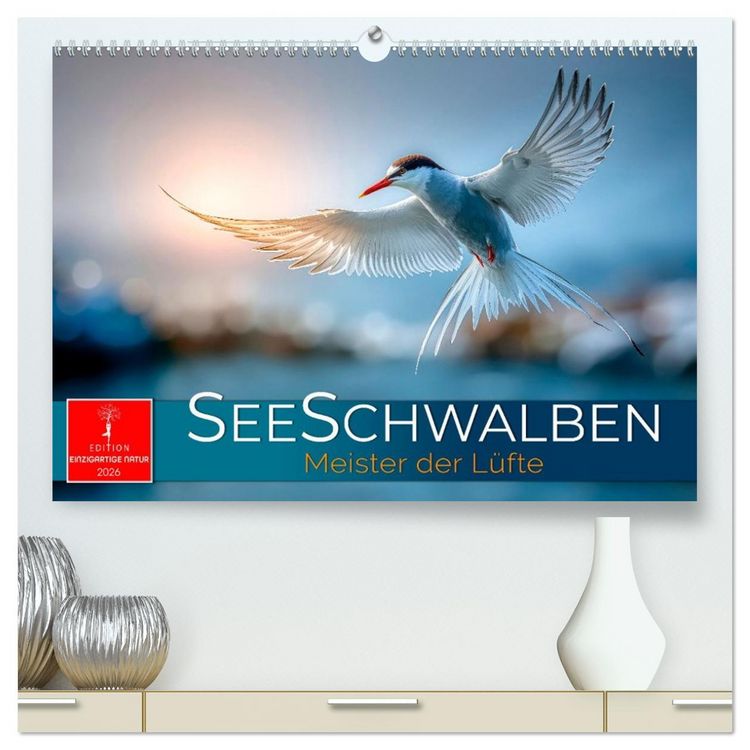 Produktbild: Seeschwalben - Meister der L&uuml;fte (hochwertiger Premium Wandkalender 2026 DIN A2 quer), Kunstdruck in Hochglanz