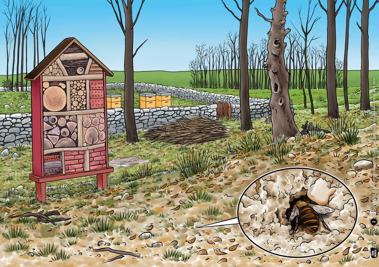 Produktbild: Von flei&szlig;igen Bienen und leckerem Honig. Kamishibai Bildkartenset