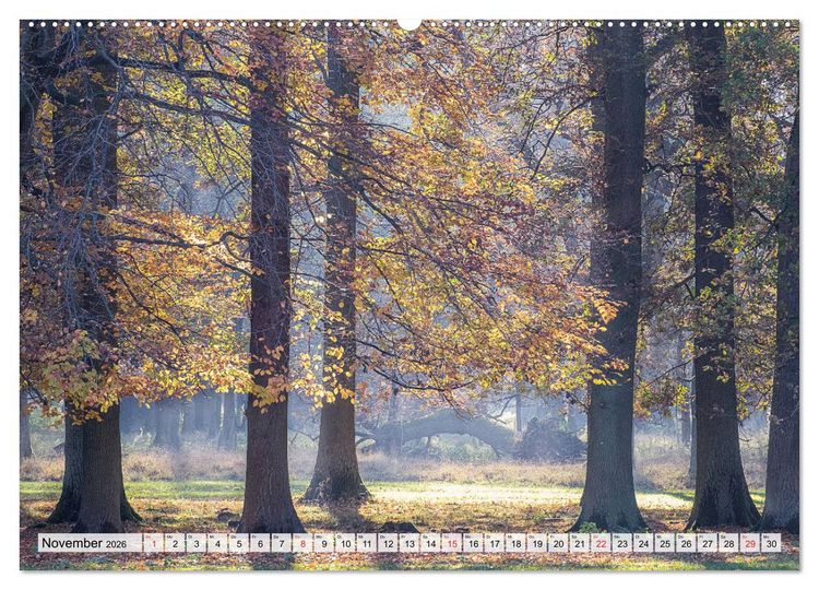 Produktbild: Norddeutsche Landschaften (hochwertiger Premium Wandkalender 2026 DIN A2 quer), Kunstdruck in Hochglanz