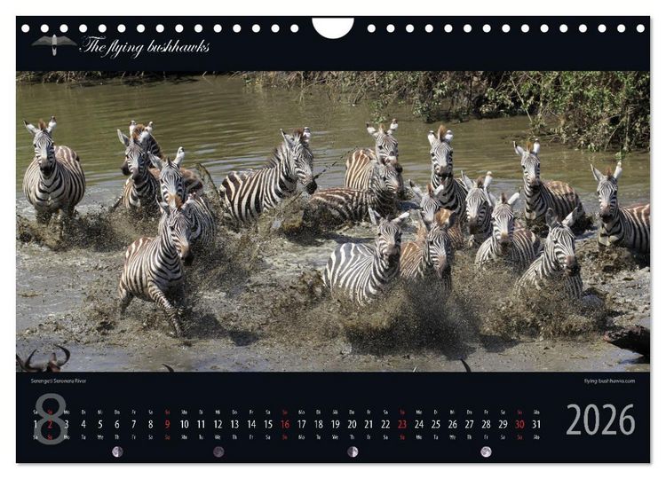Produktbild: Tansania Blickwinkel 2026 (Wandkalender 2026 DIN A4 quer), CALVENDO Monatskalender