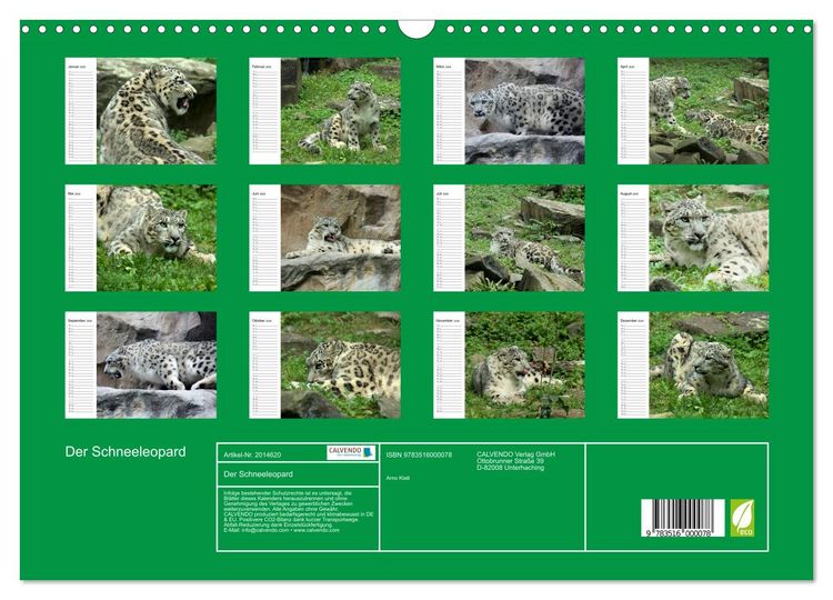 Produktbild: Der Schneeleopard (Wandkalender 2026 DIN A3 quer), CALVENDO Monatskalender