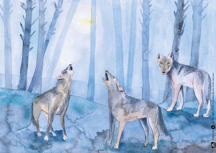 Produktbild: Der Wolf. Kamishibai Bildkartenset.