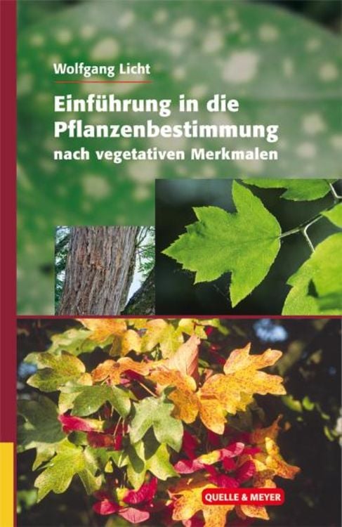 Bild vom Artikel Einführung in die Pflanzenbestimmung nach vegetativen Merkmalen vom Autor Wolfgang Licht
