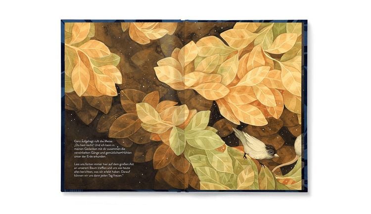 Produktbild: Maus & Meise
